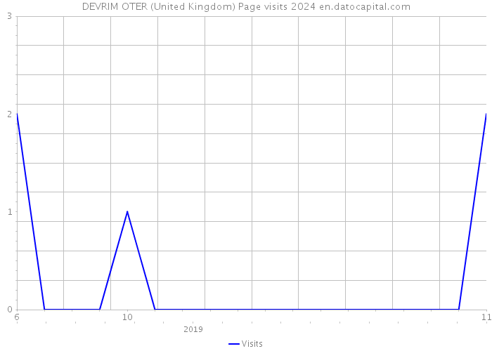DEVRIM OTER (United Kingdom) Page visits 2024 