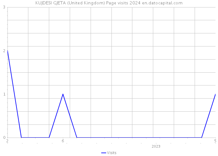 KUJDESI GJETA (United Kingdom) Page visits 2024 