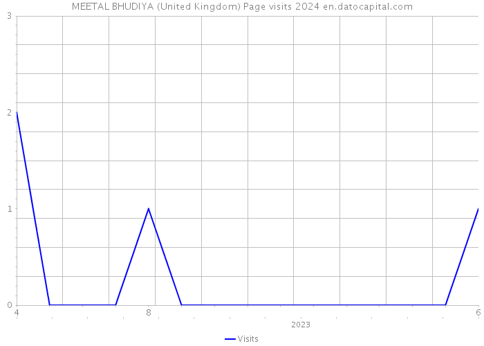 MEETAL BHUDIYA (United Kingdom) Page visits 2024 