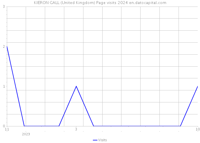 KIERON GALL (United Kingdom) Page visits 2024 