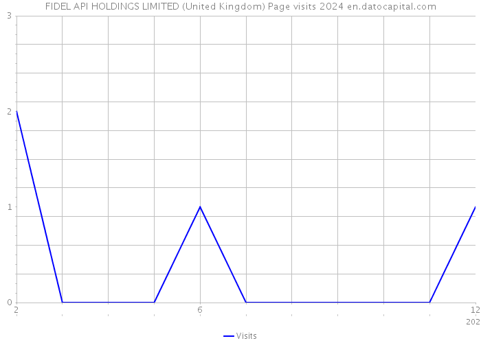 FIDEL API HOLDINGS LIMITED (United Kingdom) Page visits 2024 
