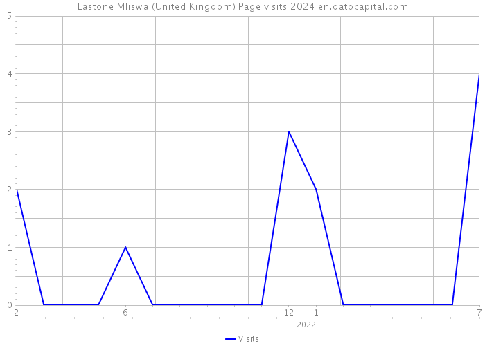 Lastone Mliswa (United Kingdom) Page visits 2024 