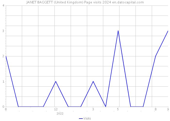 JANET BAGGETT (United Kingdom) Page visits 2024 