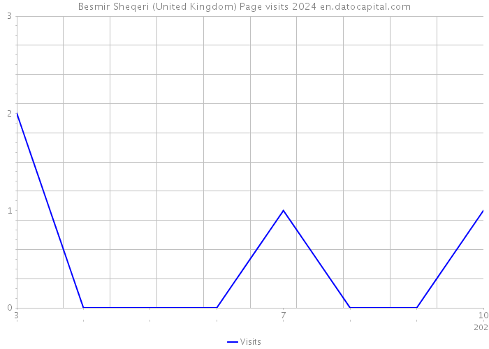 Besmir Sheqeri (United Kingdom) Page visits 2024 