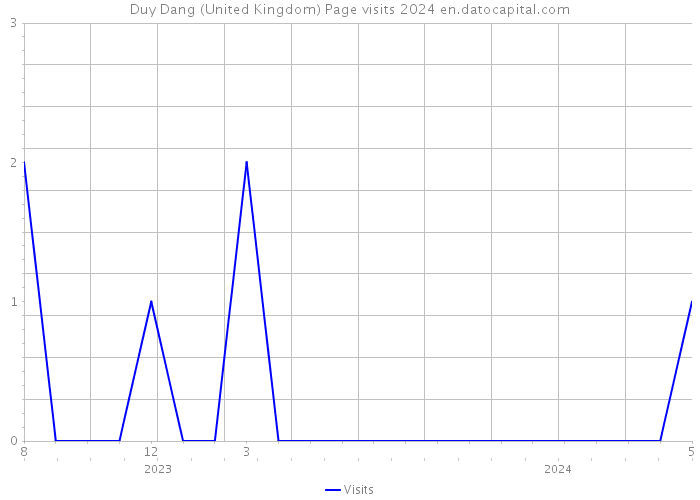Duy Dang (United Kingdom) Page visits 2024 
