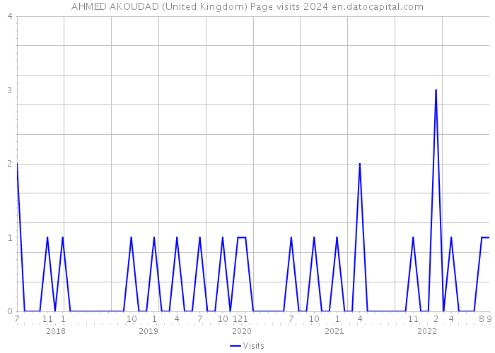 AHMED AKOUDAD (United Kingdom) Page visits 2024 