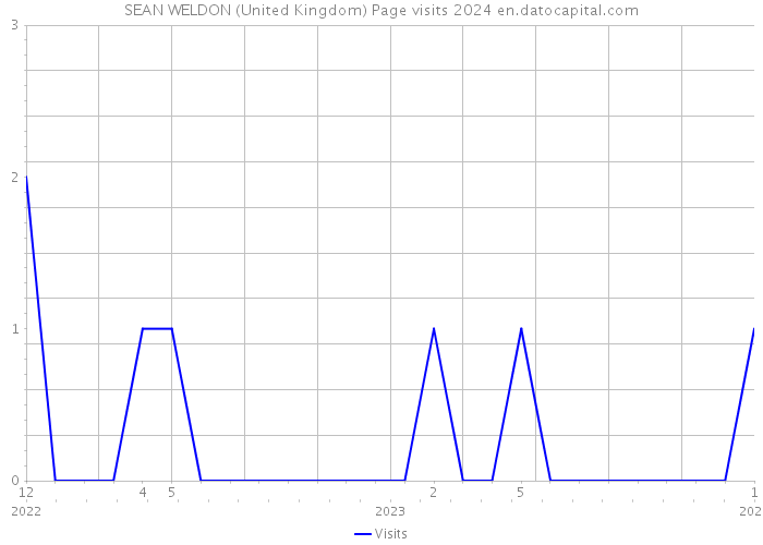 SEAN WELDON (United Kingdom) Page visits 2024 