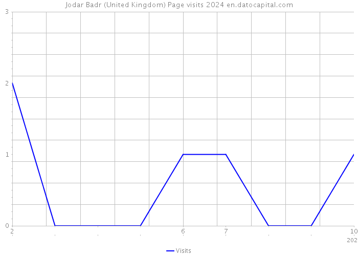 Jodar Badr (United Kingdom) Page visits 2024 
