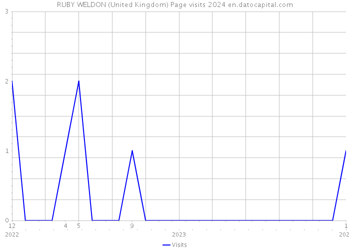 RUBY WELDON (United Kingdom) Page visits 2024 
