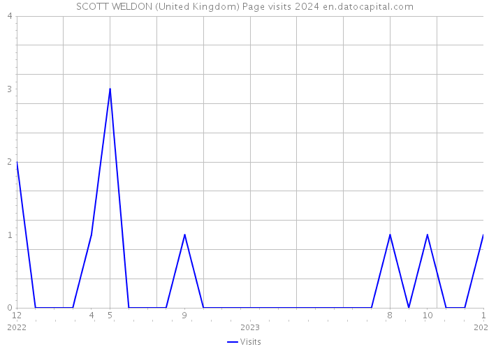 SCOTT WELDON (United Kingdom) Page visits 2024 
