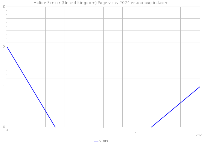 Halide Sencer (United Kingdom) Page visits 2024 