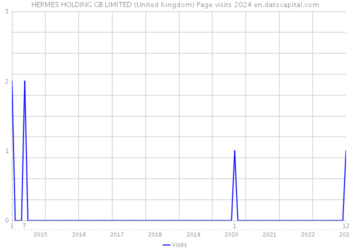 HERMES HOLDING GB LIMITED (United Kingdom) Page visits 2024 