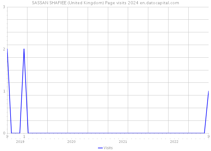SASSAN SHAFIEE (United Kingdom) Page visits 2024 
