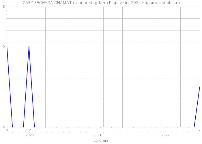 GABY BECHARA CHAMAT (United Kingdom) Page visits 2024 