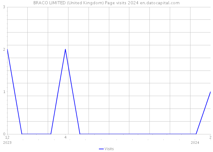 BRACO LIMITED (United Kingdom) Page visits 2024 