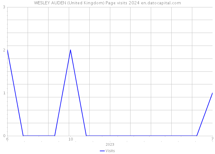 WESLEY AUDEN (United Kingdom) Page visits 2024 