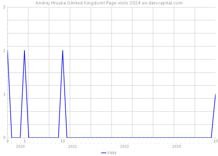Andrej Hruska (United Kingdom) Page visits 2024 