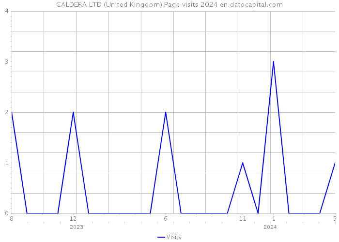 CALDERA LTD (United Kingdom) Page visits 2024 