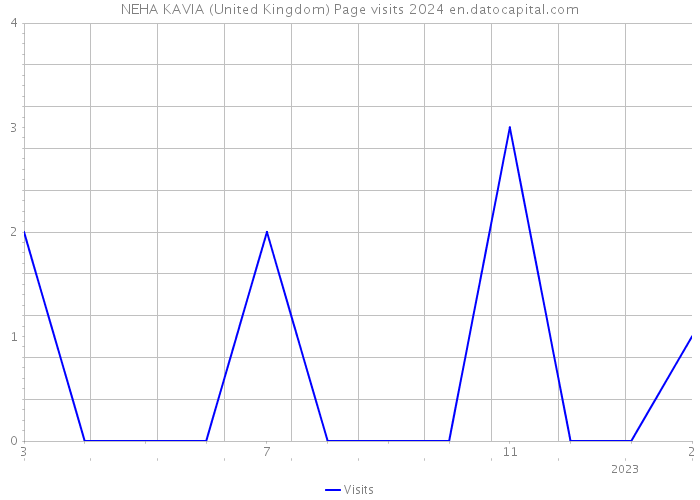 NEHA KAVIA (United Kingdom) Page visits 2024 