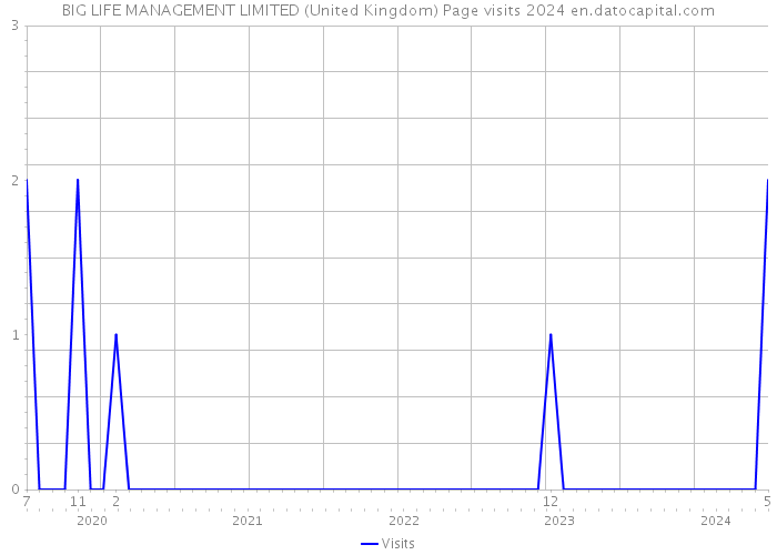 BIG LIFE MANAGEMENT LIMITED (United Kingdom) Page visits 2024 