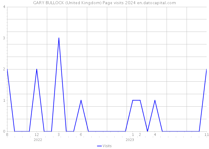 GARY BULLOCK (United Kingdom) Page visits 2024 