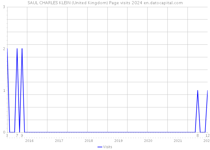 SAUL CHARLES KLEIN (United Kingdom) Page visits 2024 