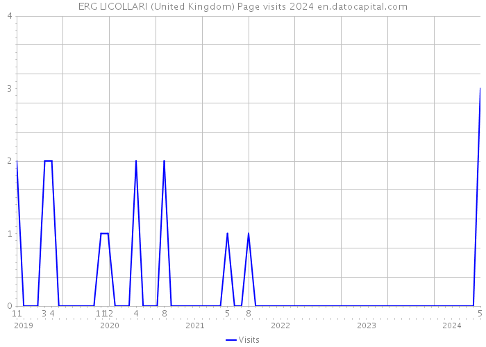 ERG LICOLLARI (United Kingdom) Page visits 2024 