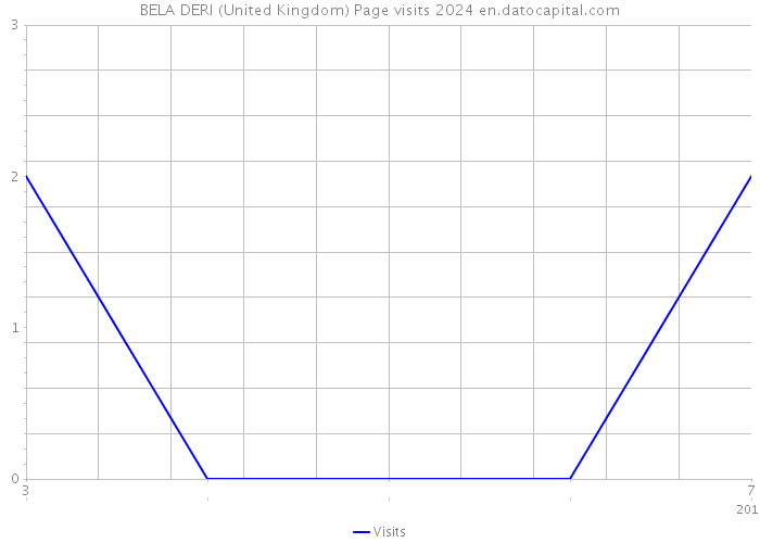 BELA DERI (United Kingdom) Page visits 2024 