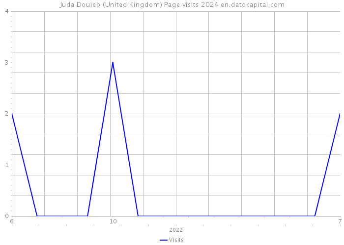 Juda Douieb (United Kingdom) Page visits 2024 