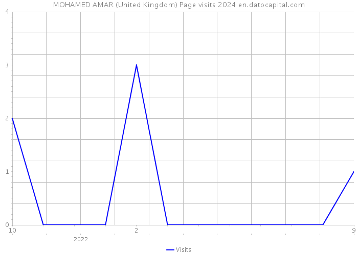 MOHAMED AMAR (United Kingdom) Page visits 2024 
