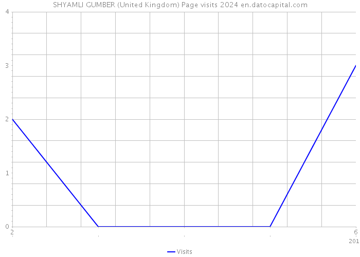SHYAMLI GUMBER (United Kingdom) Page visits 2024 