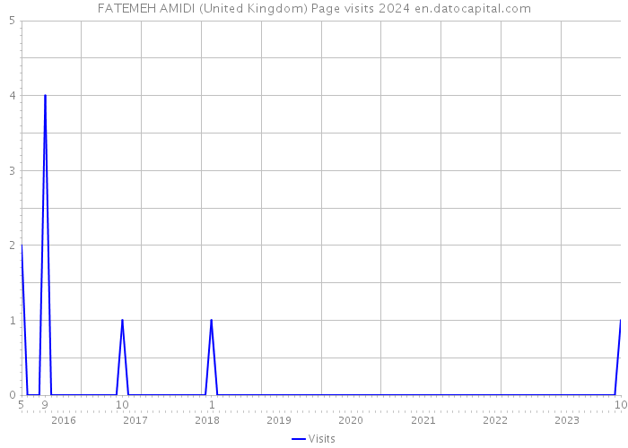FATEMEH AMIDI (United Kingdom) Page visits 2024 