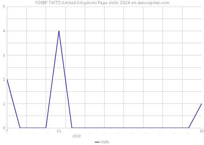 YOSEF TAITZ (United Kingdom) Page visits 2024 