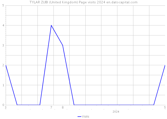 TYLAR ZUBI (United Kingdom) Page visits 2024 