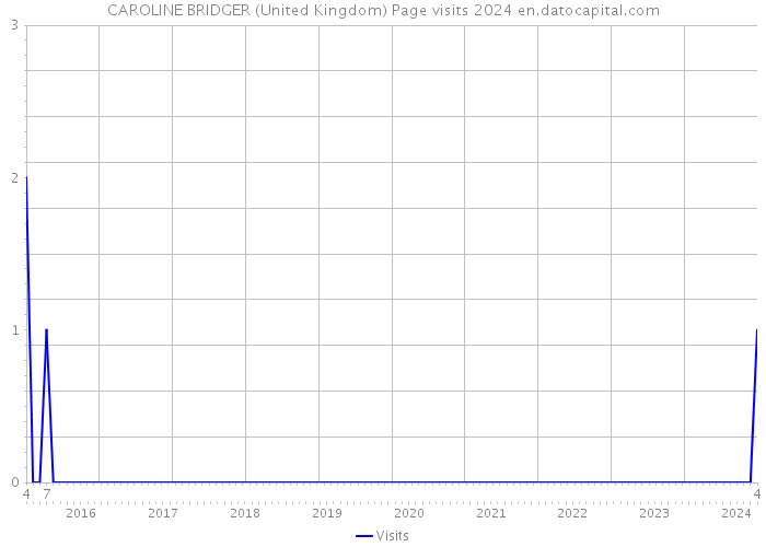 CAROLINE BRIDGER (United Kingdom) Page visits 2024 