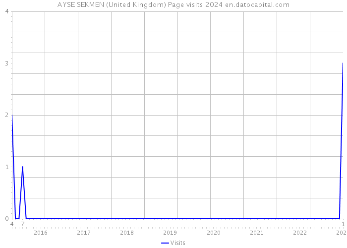 AYSE SEKMEN (United Kingdom) Page visits 2024 