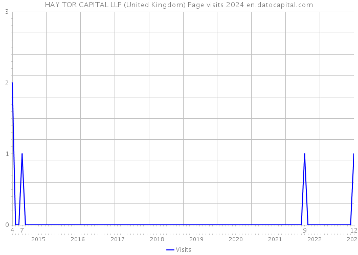 HAY TOR CAPITAL LLP (United Kingdom) Page visits 2024 