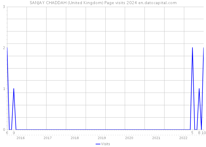 SANJAY CHADDAH (United Kingdom) Page visits 2024 