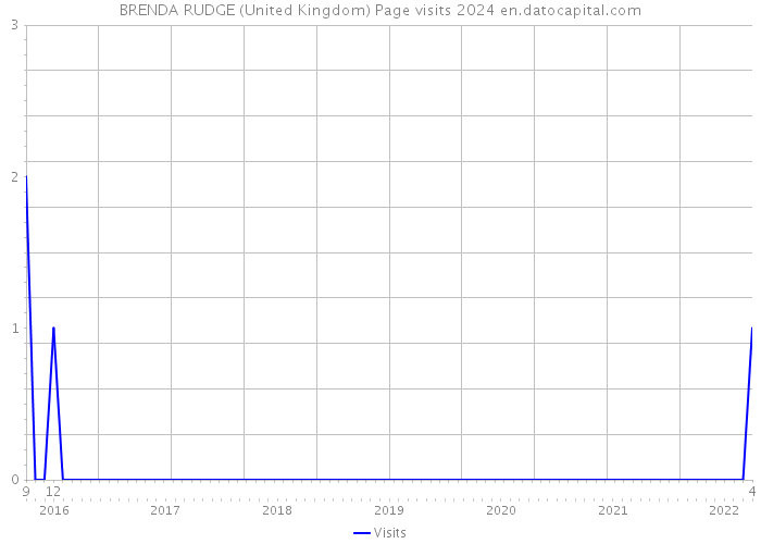 BRENDA RUDGE (United Kingdom) Page visits 2024 