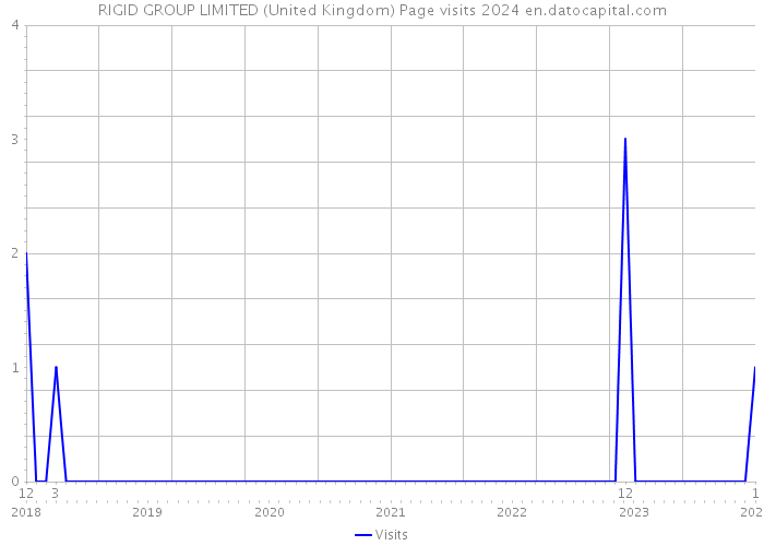 RIGID GROUP LIMITED (United Kingdom) Page visits 2024 