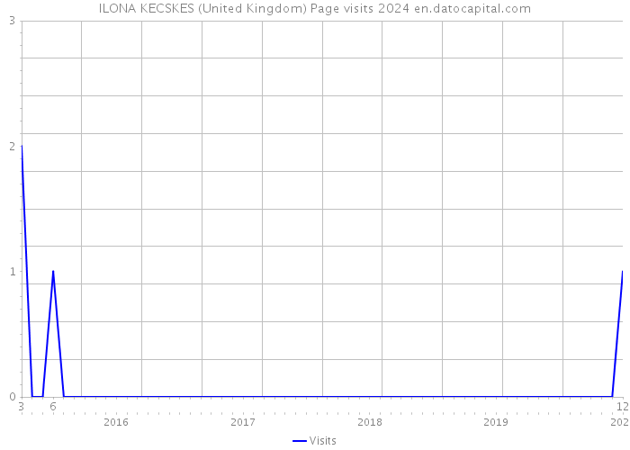 ILONA KECSKES (United Kingdom) Page visits 2024 