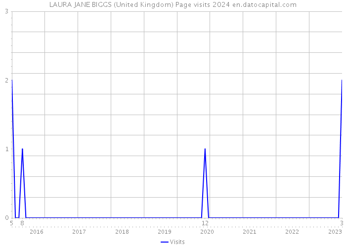 LAURA JANE BIGGS (United Kingdom) Page visits 2024 