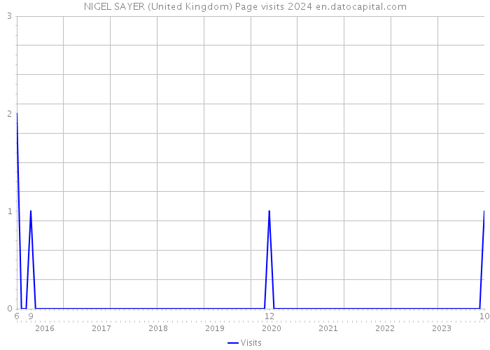 NIGEL SAYER (United Kingdom) Page visits 2024 