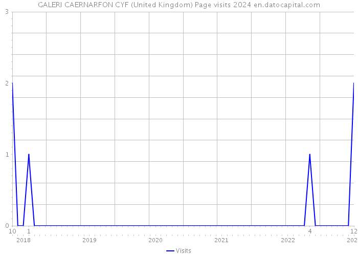 GALERI CAERNARFON CYF (United Kingdom) Page visits 2024 