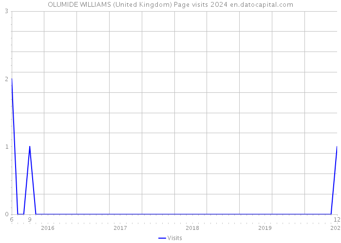 OLUMIDE WILLIAMS (United Kingdom) Page visits 2024 