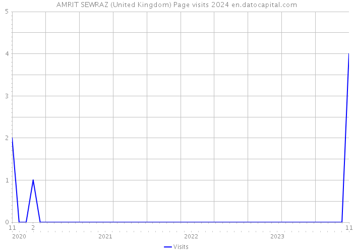 AMRIT SEWRAZ (United Kingdom) Page visits 2024 