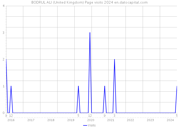 BODRUL ALI (United Kingdom) Page visits 2024 
