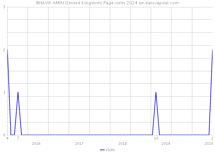 BHAVIK AMIN (United Kingdom) Page visits 2024 