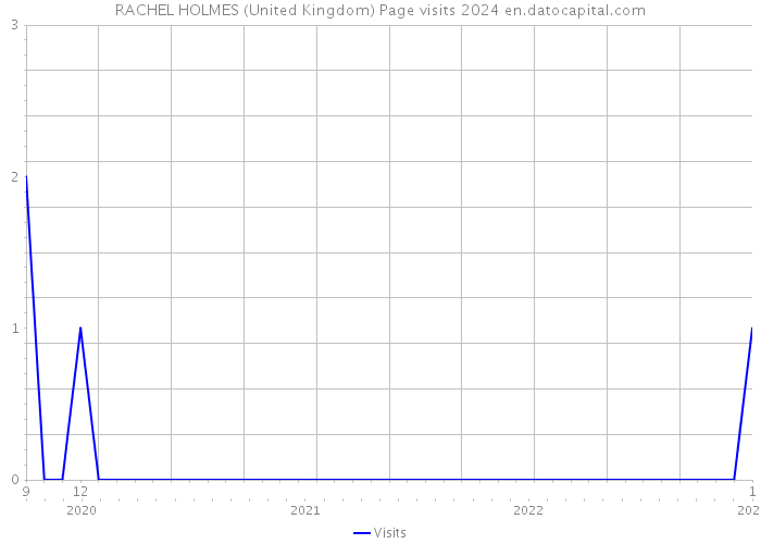 RACHEL HOLMES (United Kingdom) Page visits 2024 