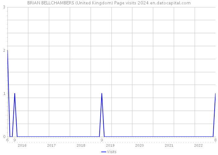 BRIAN BELLCHAMBERS (United Kingdom) Page visits 2024 